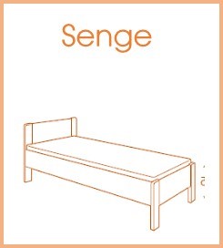 Senior senge